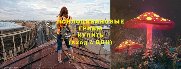 крисы Красноперекопск