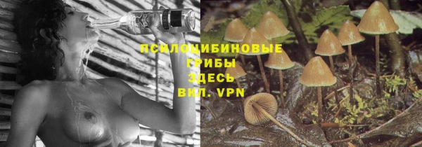 крисы Красноперекопск
