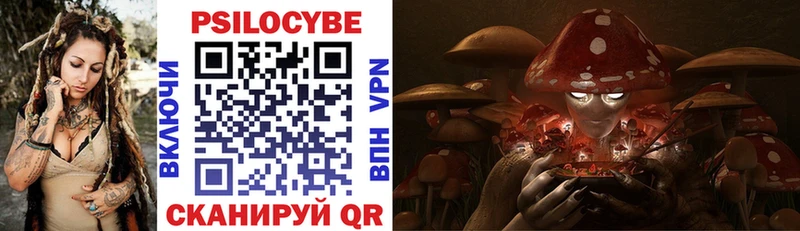 Галлюциногенные грибы Cubensis  купить наркоту  Верхоянск 